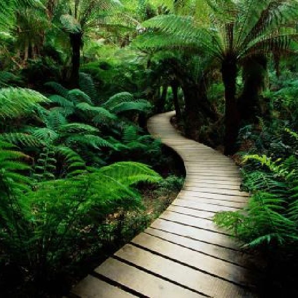 600×600 (3) 600x600 (3)